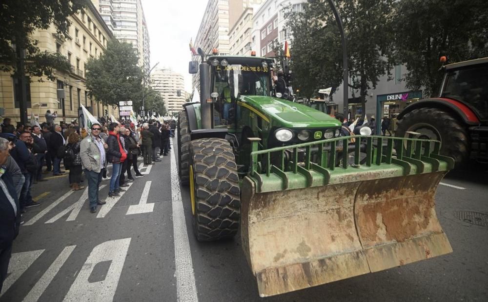 Así ha sido la manifestación de los agricultores en Murcia (II)