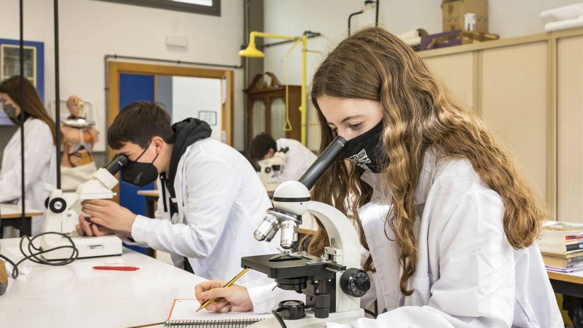 Unter anderem die Klassenstärken sollen auf den Inseln mit dem neuen Gesetz sinken.