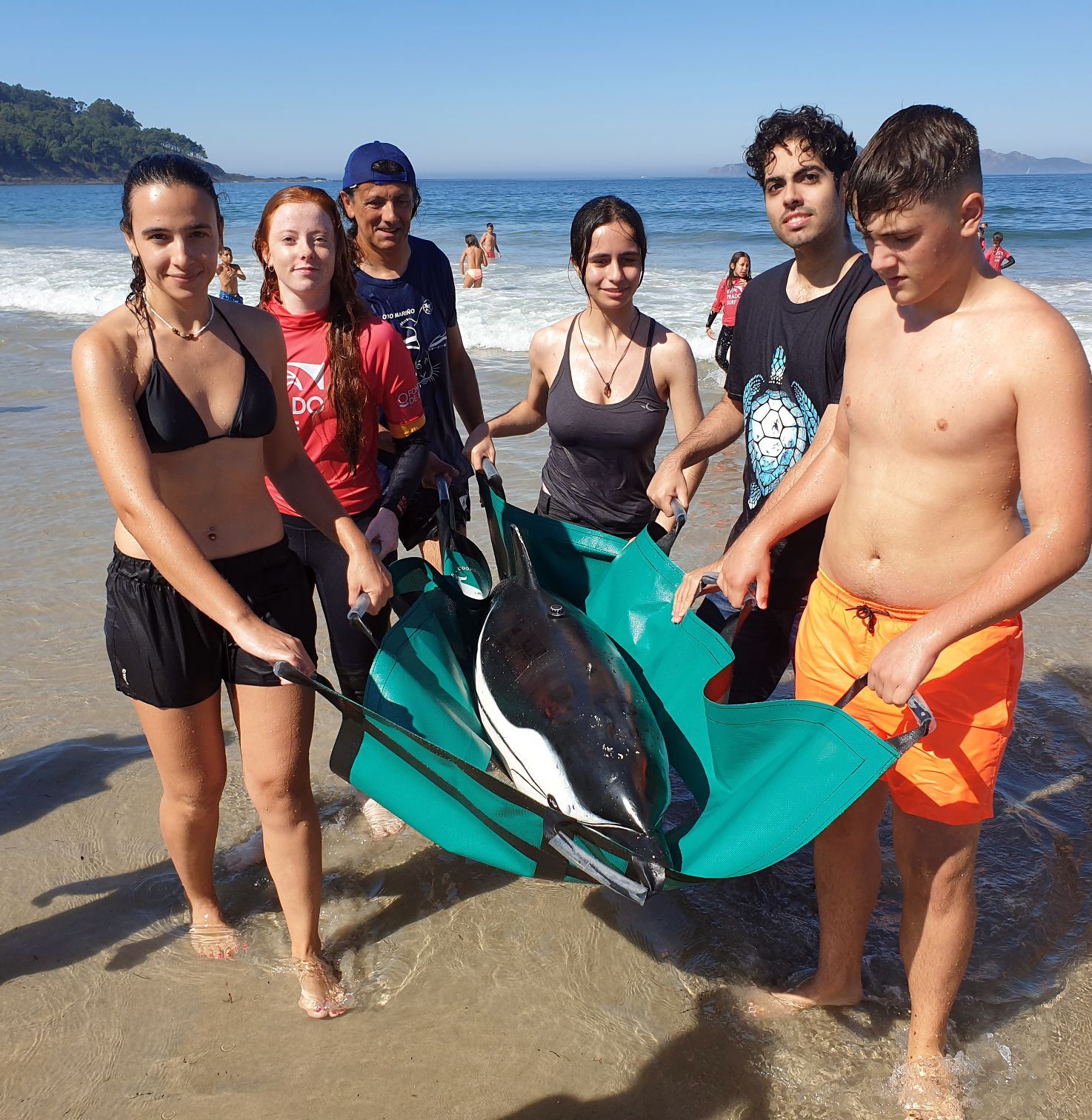 Una segunda vida  para los animales varados desde la playa de Nigrán