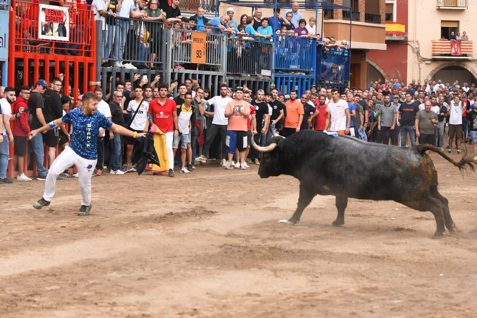 Exhibición de cuatro toros de Partida Resina en Onda