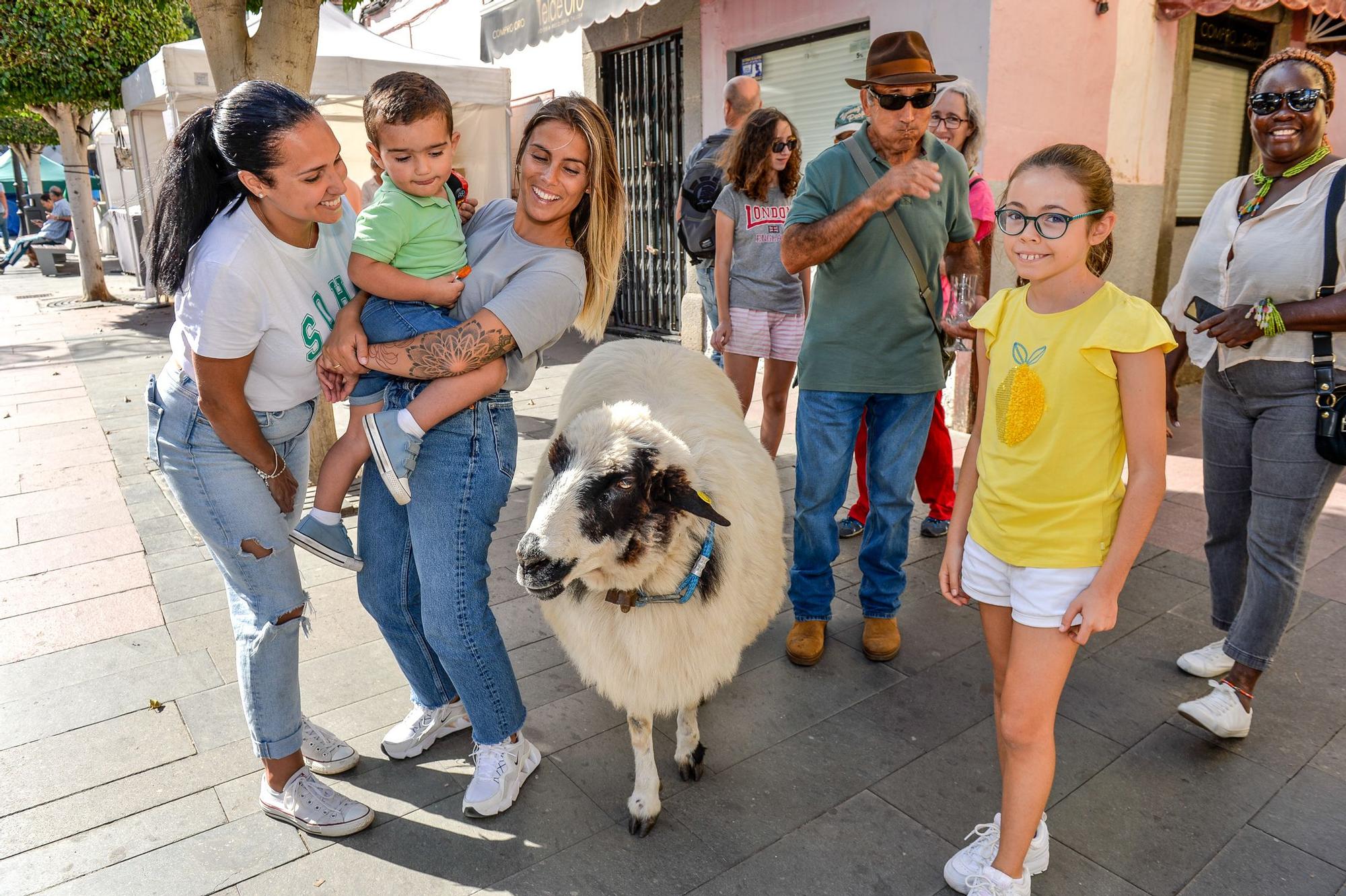 Fiestas de San Gregorio