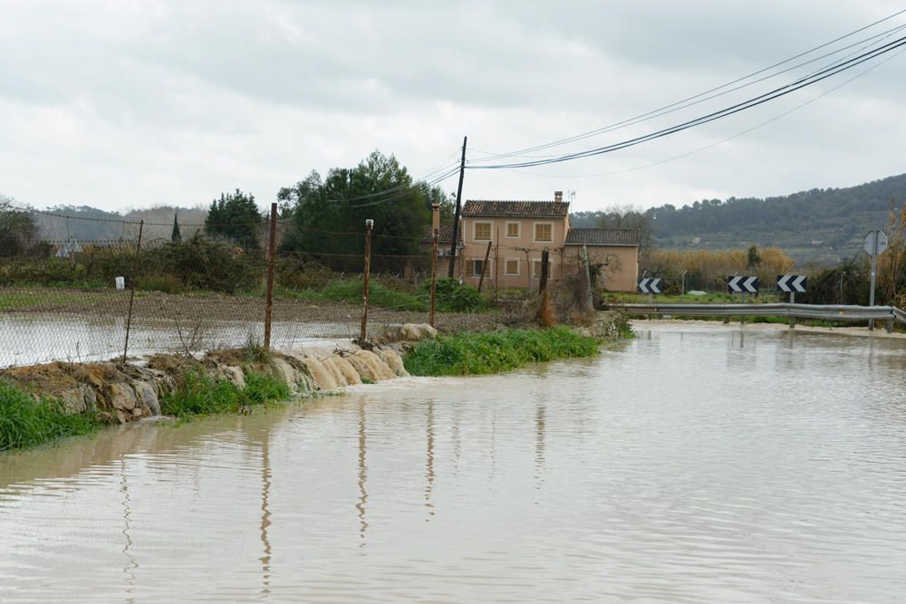 Inundada la carretera que une Sineu y Petra (Ma-3300)