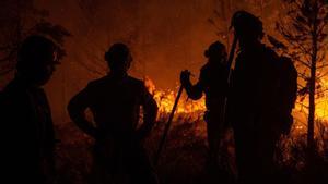 ¿La ciutadania se sent protegida? ¿La ciutadania se sent protegida?