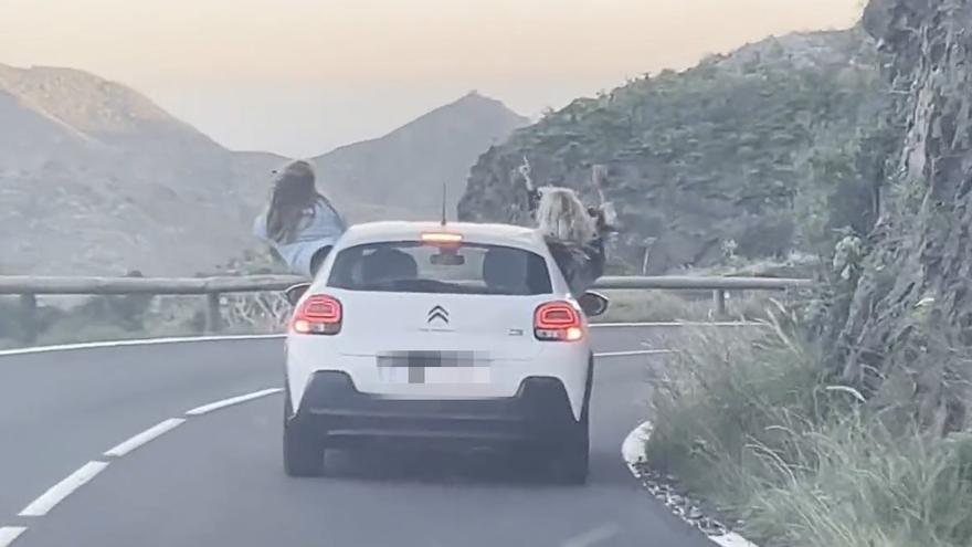 Todo por un &#039;like&#039;: la imprudencia en la carretera de unas chicas en Tenerife