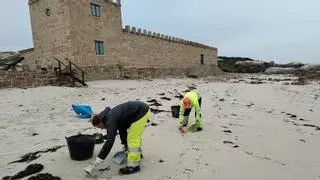 La incidencia de las bolas de resina parece reducirse en la ría