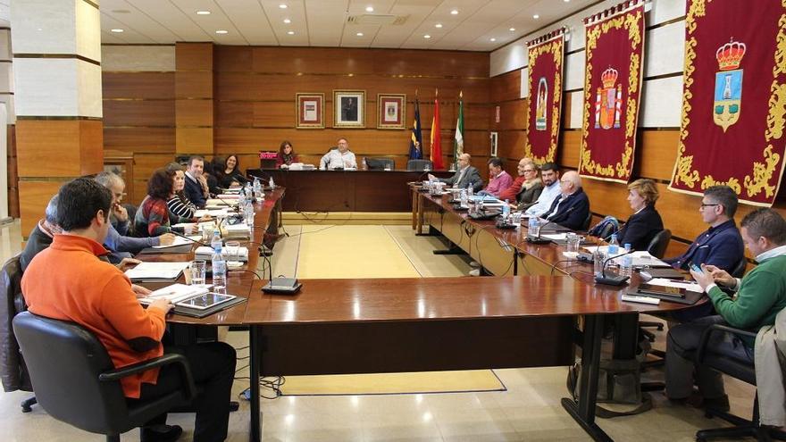 Imagen del pleno celebrado en Alhaurín de la Torre.