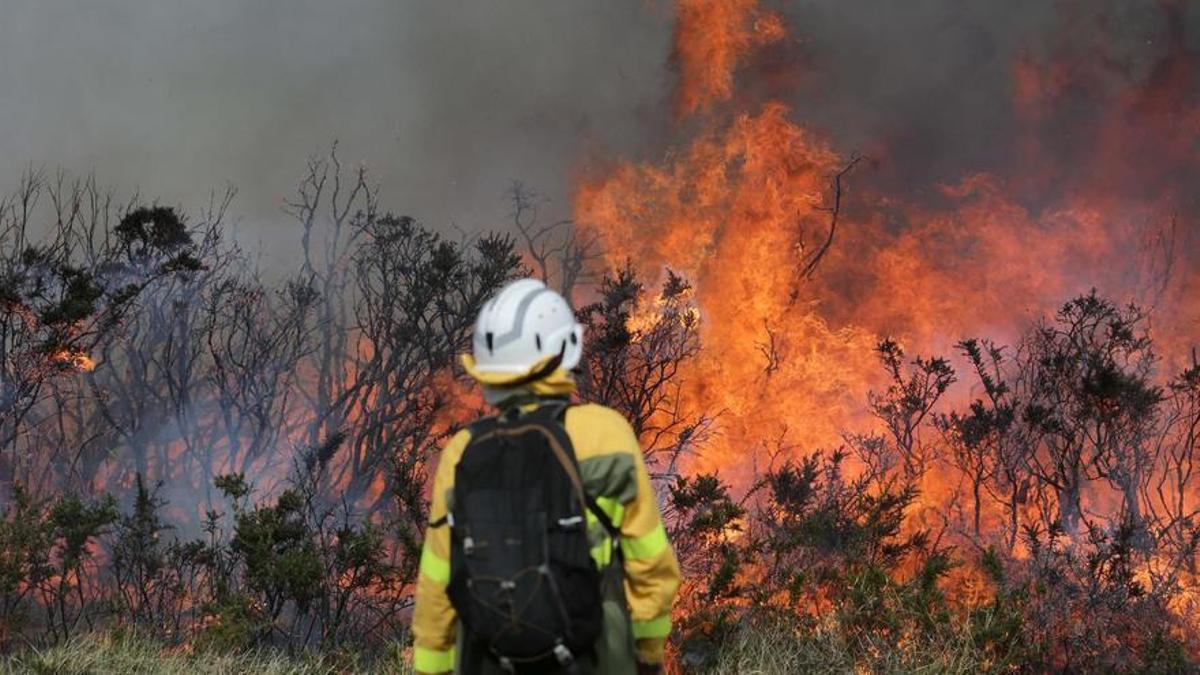 Un efectivo de la Xunta trabajando para extinguir las llamas en un incendio forestal