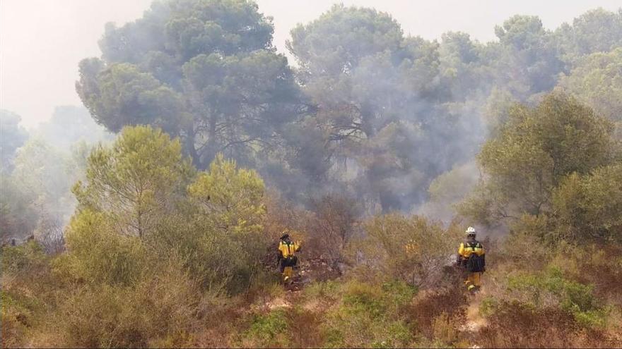Feuer bei Cales de Mallorca zerstört 13 Hektar Kiefernwald