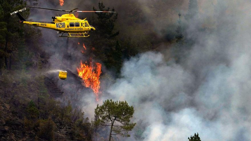 Wer-hat-das-Kommando-Gerangel-um-Kompetenzen-erschwert-Waldbrandbek-mpfung