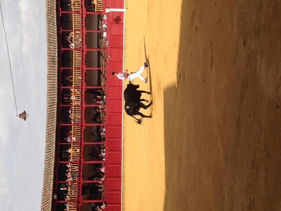 Fiestas Toro- concurso de jóvenes cortadores