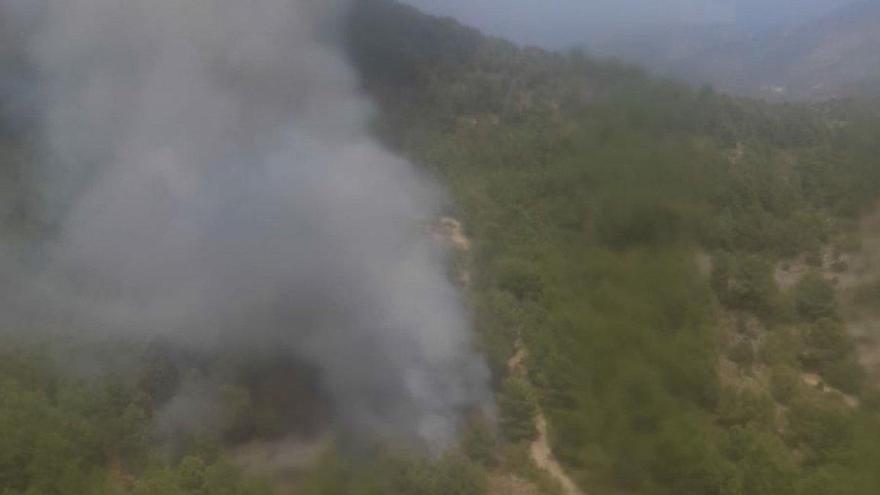 Un incendio arrasa 2,5 hectáreas de terreno forestal en Culla