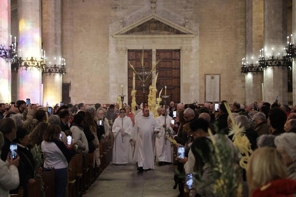 Inicio de la ceremonia de Domingo de Ramos en la Catedral de Mallorca