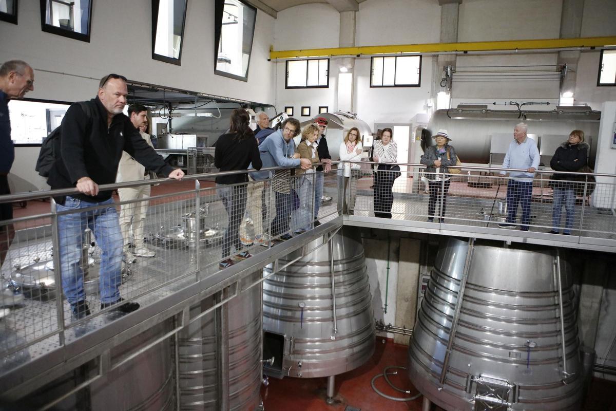Weinbereitung in der Bodega