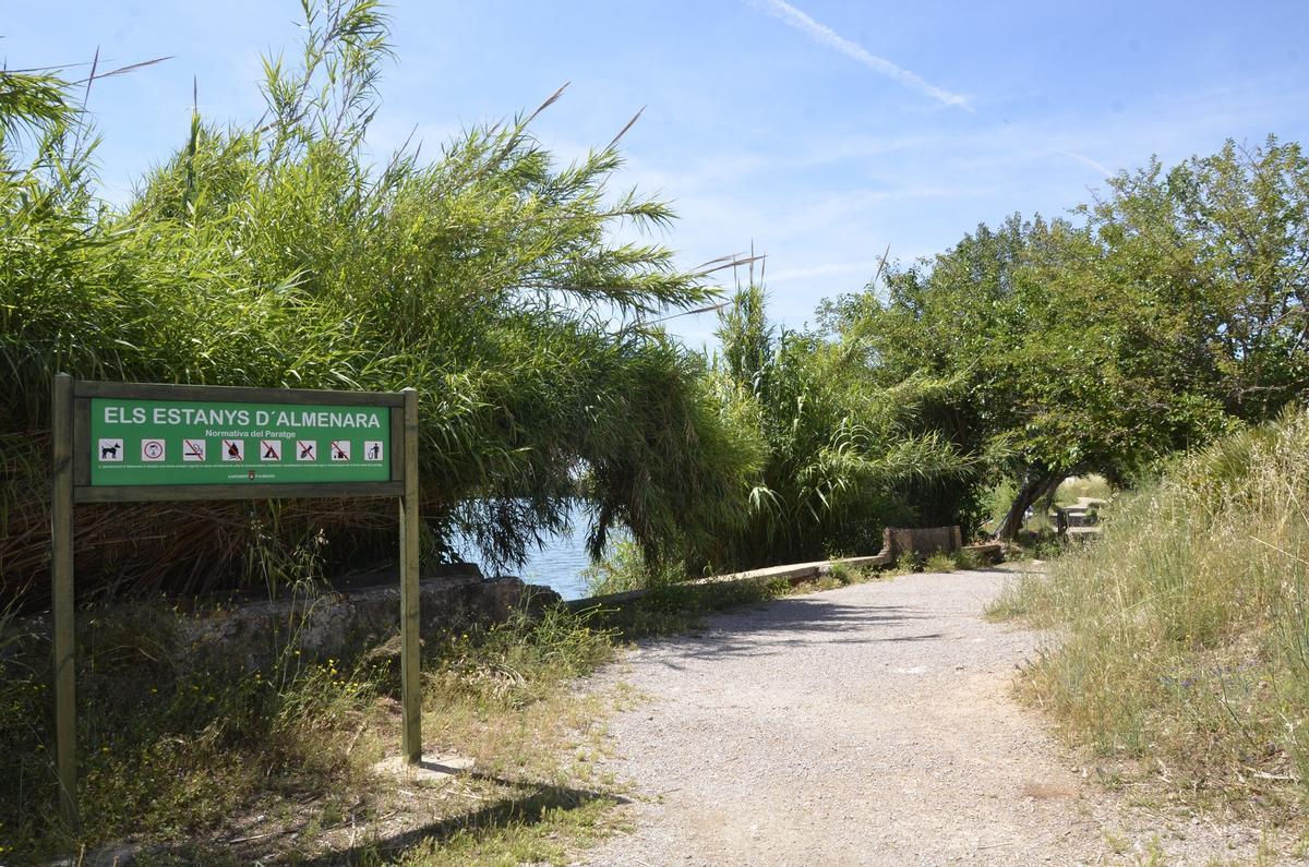 Área recreativa de Els Estanys.