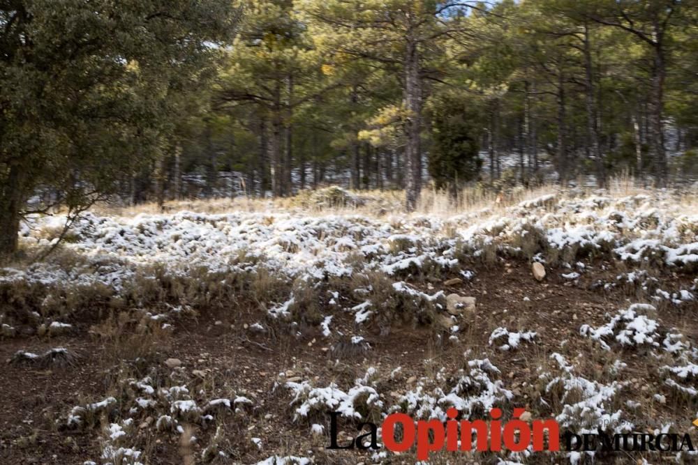 Nieve en el Noroeste