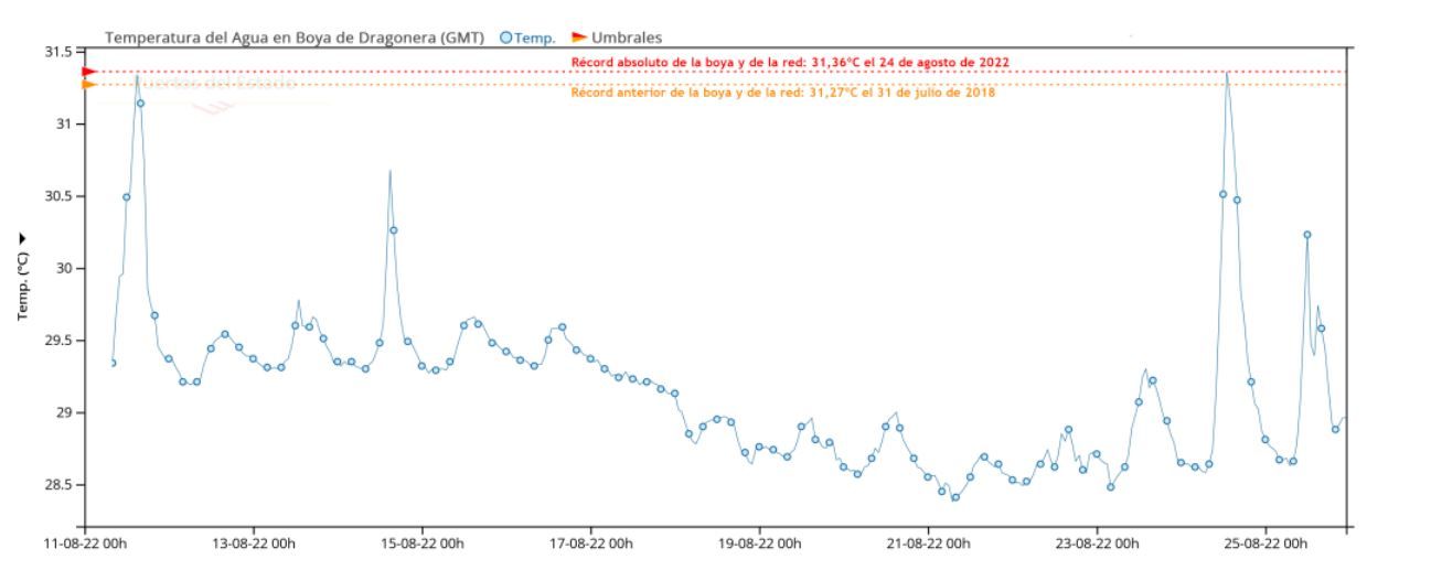 Gráfica de la serie temporal de la temperatura del agua medida en la Boya de Dragonera entre el 11 y el 25 de agosto de 2022. Se resalta con una línea roja el valor del récord de la boya, que es también el récord de las redes de Puertos del Estado. Con una línea naranja se resalta el anterior récord de las redes, que también era de esta misma boya.