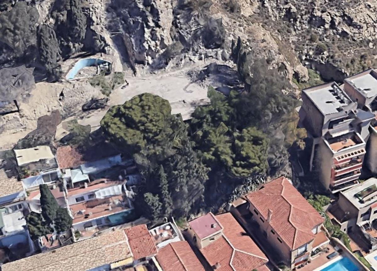 Imagen de la arboleda antes de las obras.