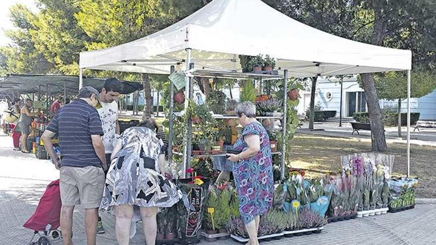 Mercado del Coll reubicado en la calle Cardenal Rosell.