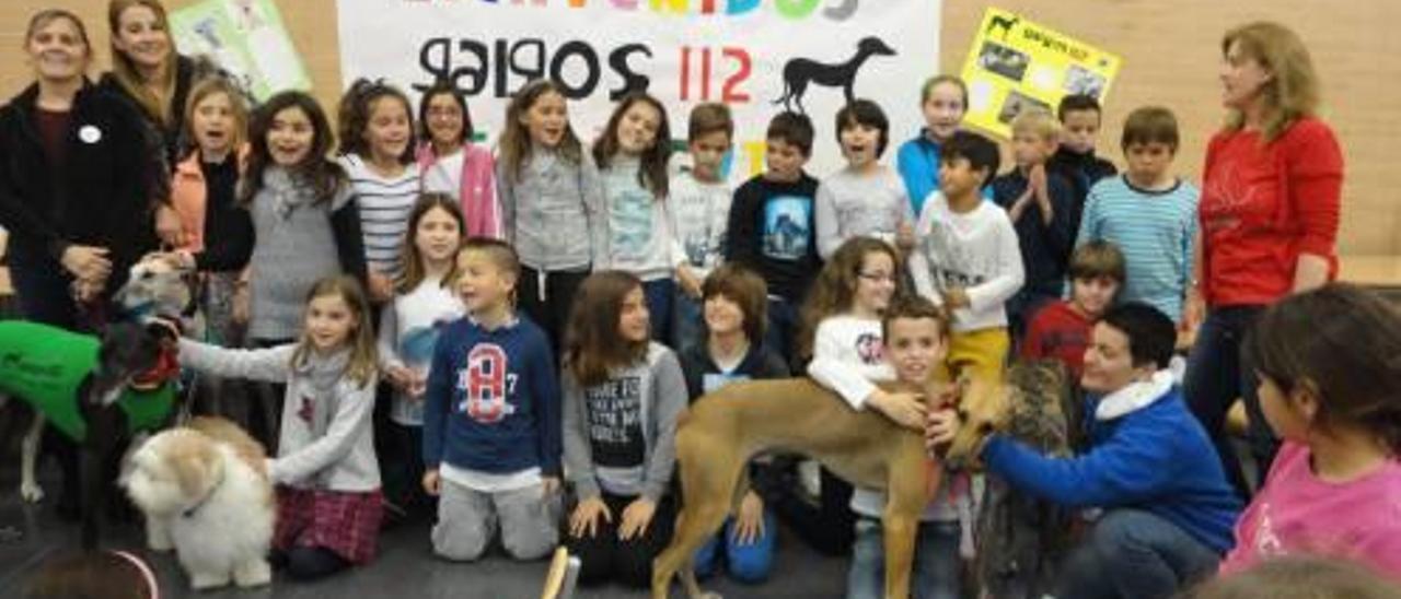 Charla para promover el cariño por las mascotas