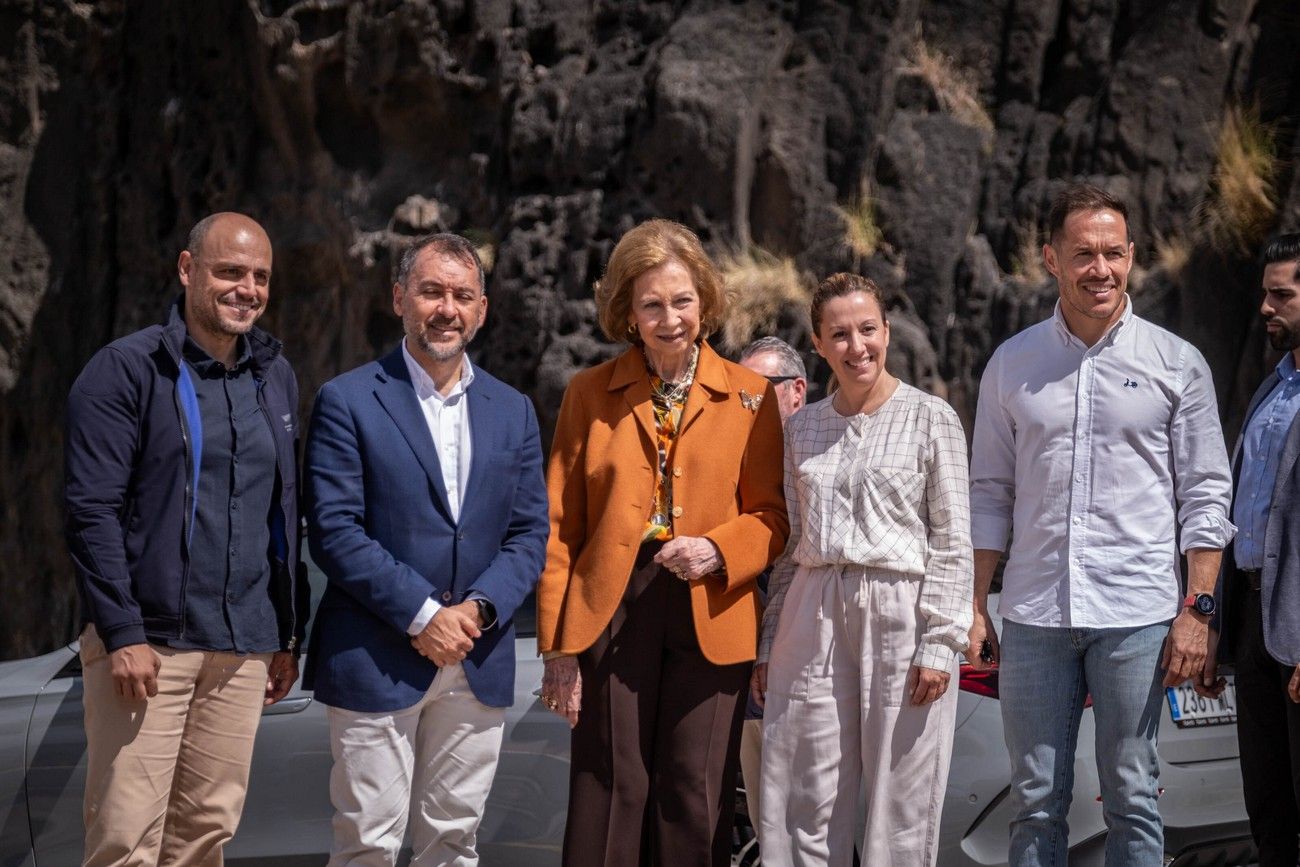 La reina Sofía asiste en Tenerife a una suelta de tortugas marinas recuperadas de lesiones