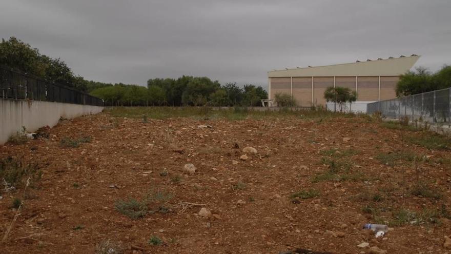 Imagen del terreno que se habilitará como huerto urbano para los ciudadanos.