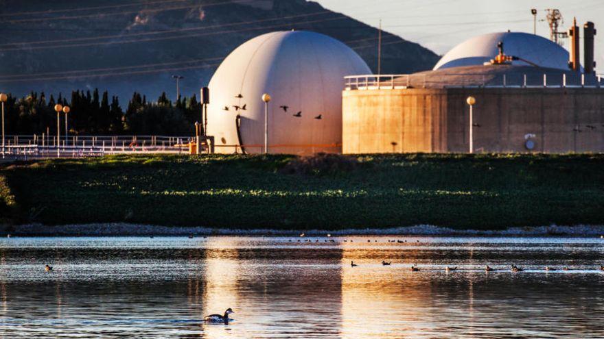 Los efectos del cambio climático, como las sequías, inundaciones y la pérdida de la biodiversidad, son cada vez más comunes