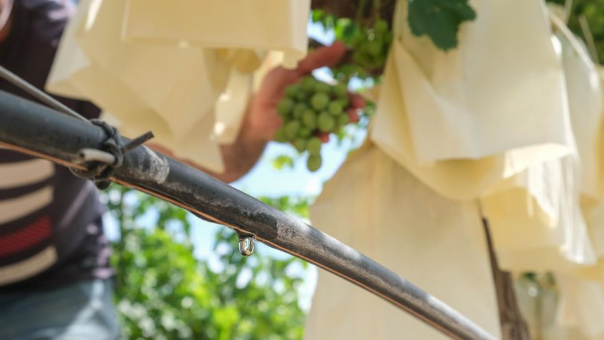 La CHJ valida las reglas que afianzan el trasvase del Júcar al Vinalopó hasta 2032