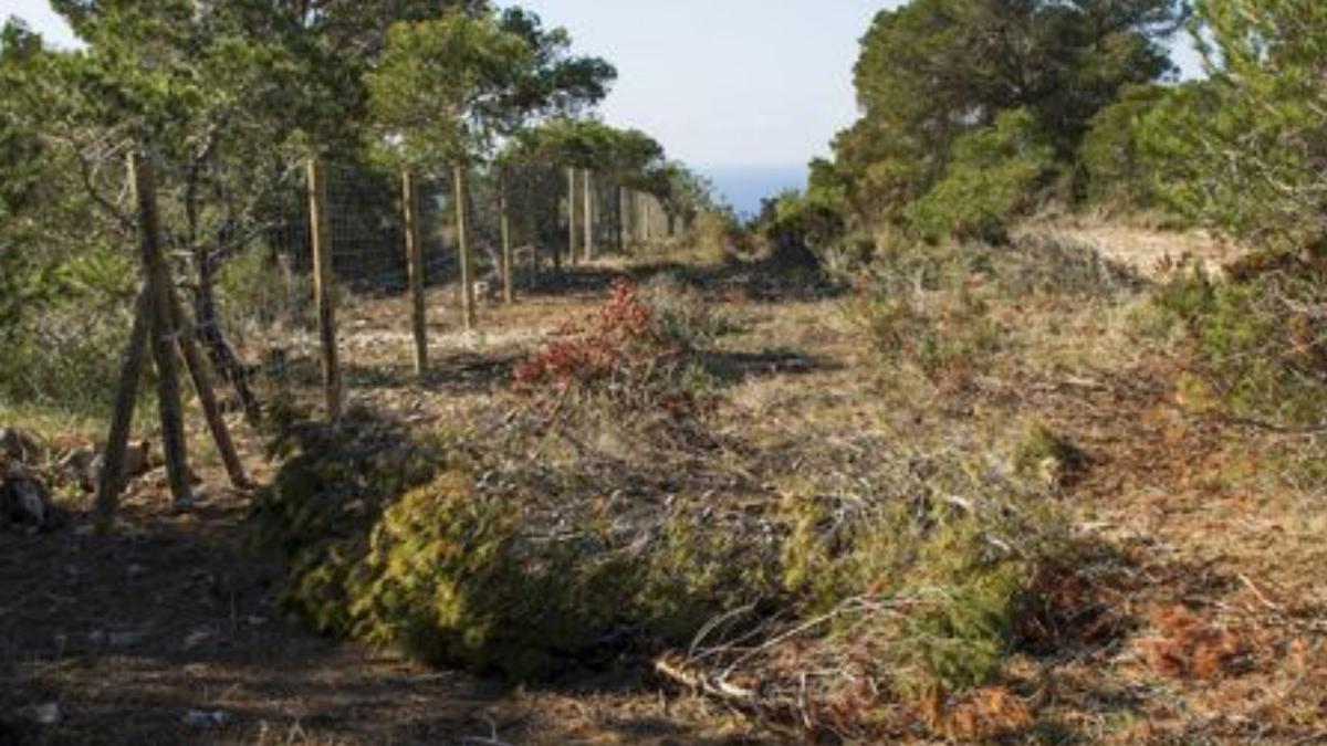 Obras en Rafaubeig. | CEDIDA POR SOS CAN VAIRET