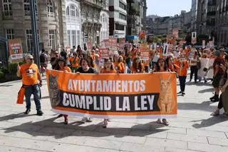 Decenas de personas reclaman en Vigo que se cumpla la ley en relación a las colonias felinas