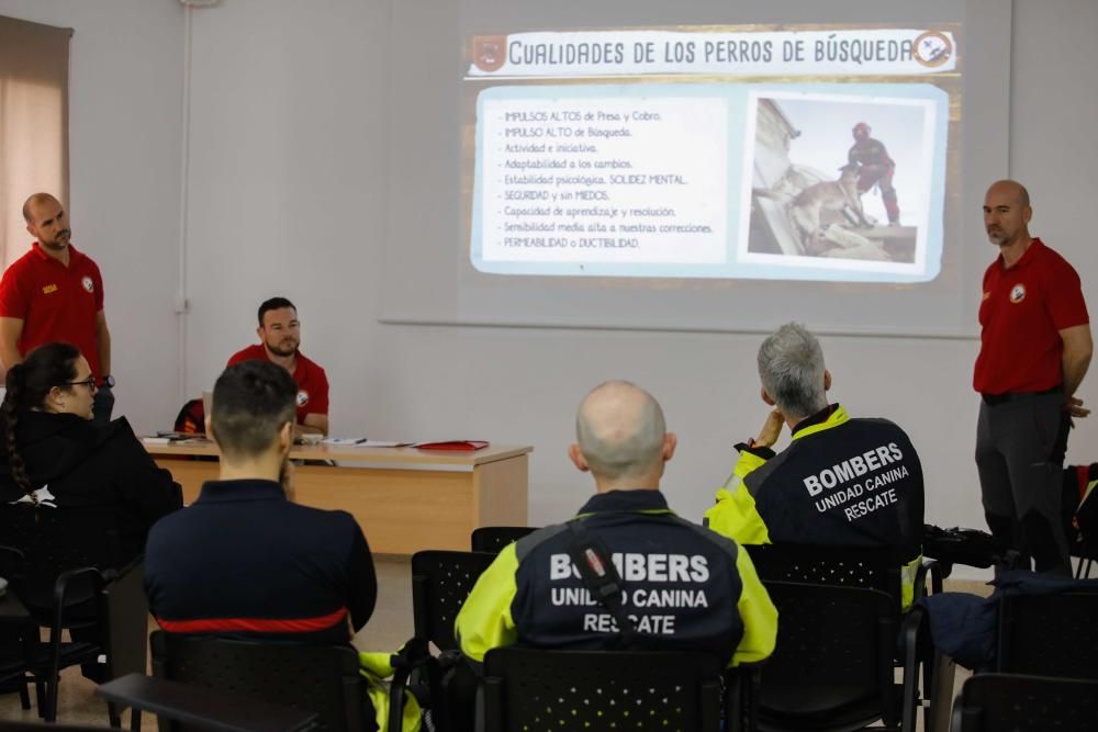 Técnicas de búsqueda de personas con perros