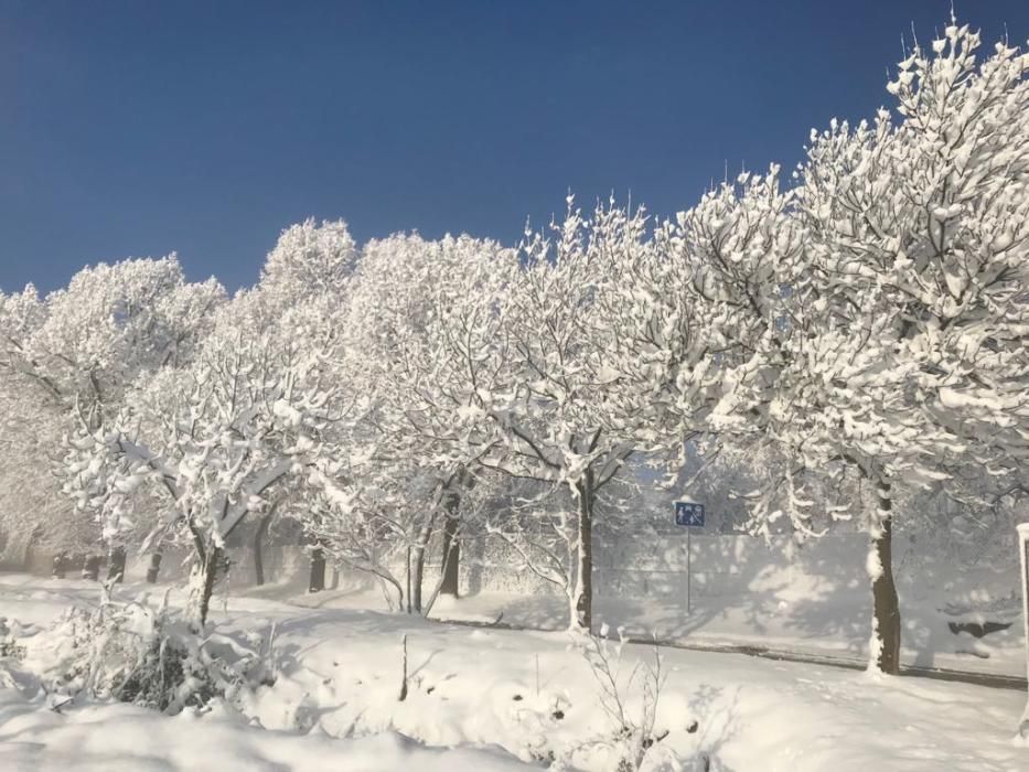 Paisatge matinal nevat a la Catalunya Central