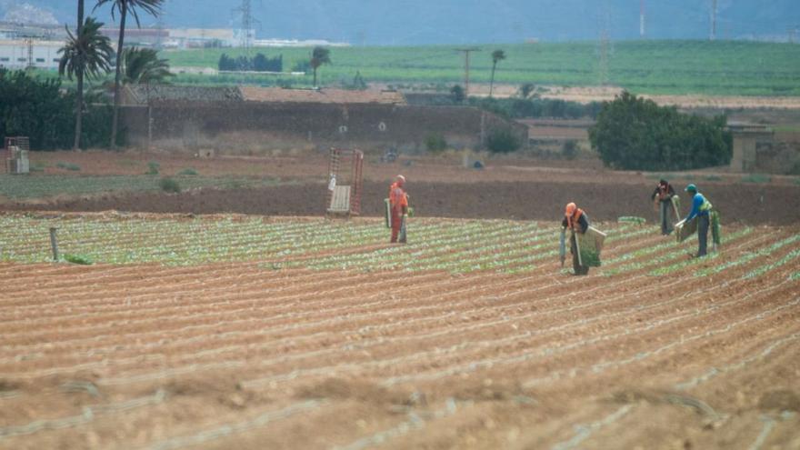 Vélez reclama a Luengo que corte la entrada de nitratos al Mar Menor