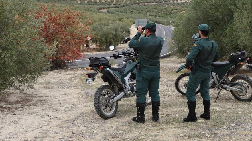 Investigados por derribar nidos de avión común en época de reproducción