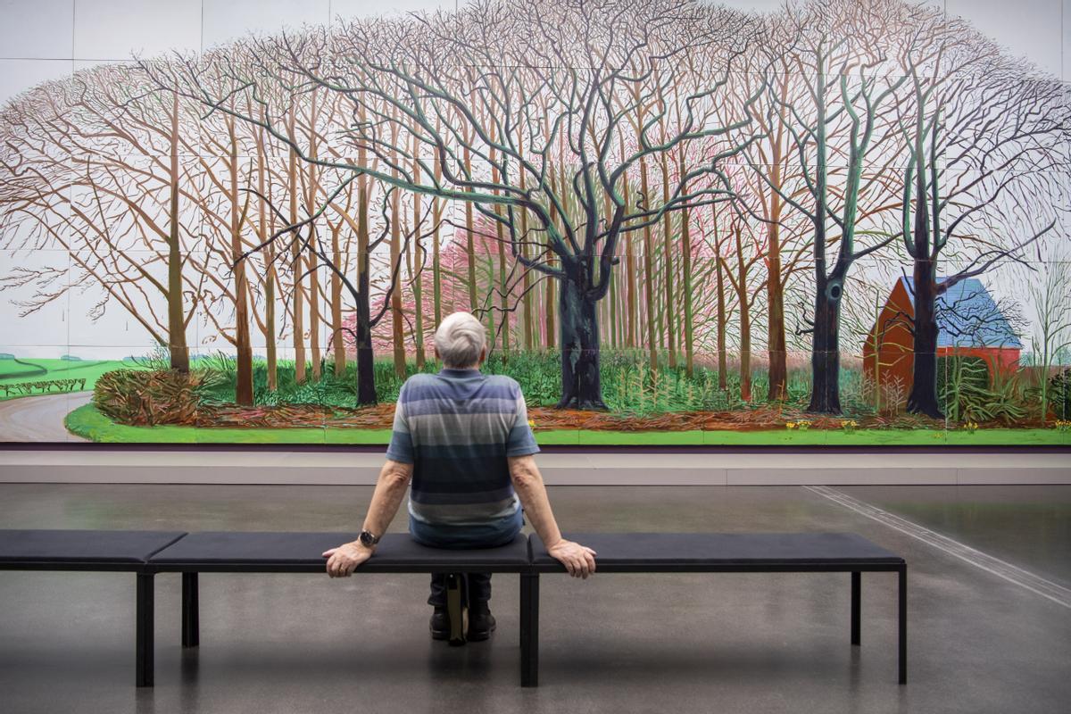 Hockney i l’art sense edat