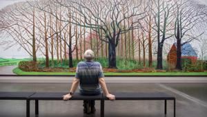 Hockney i l’art sense edat