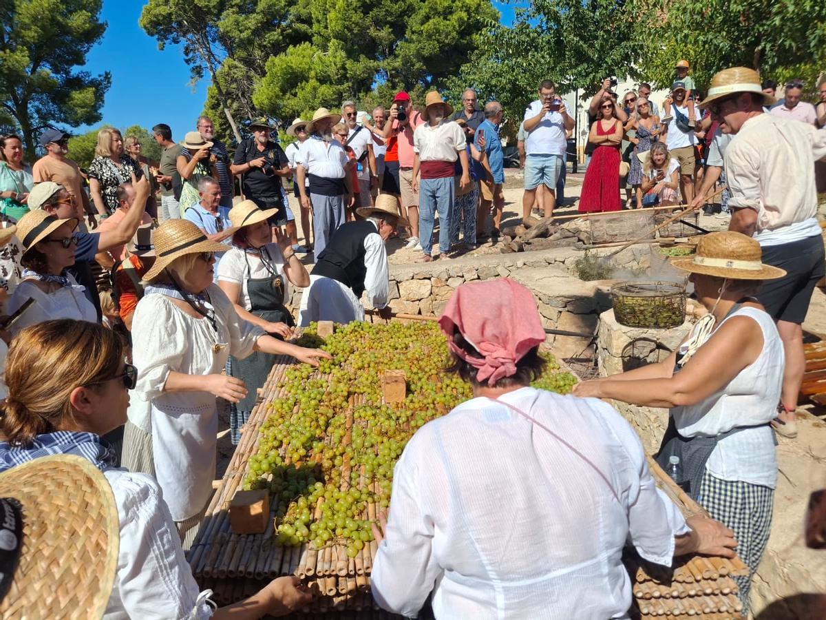 La uva ya escaldada y extendida sobre el cañizo
