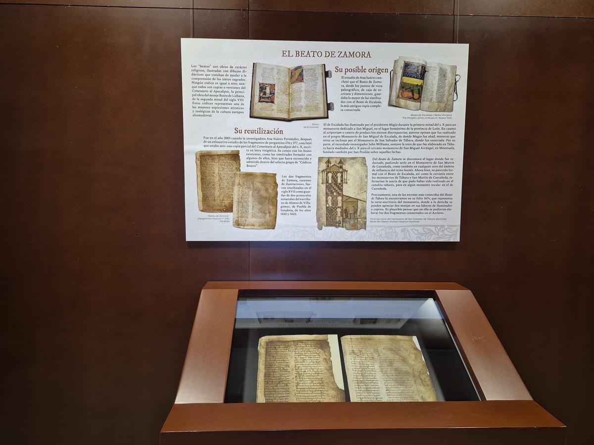 Exposición en el Archivo "Gabinete de curiosidades"
