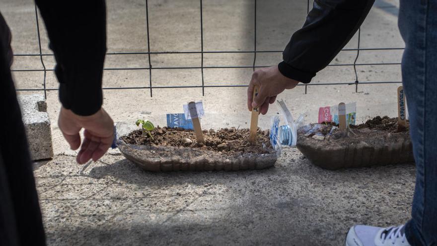 Encerrados contra las drogas