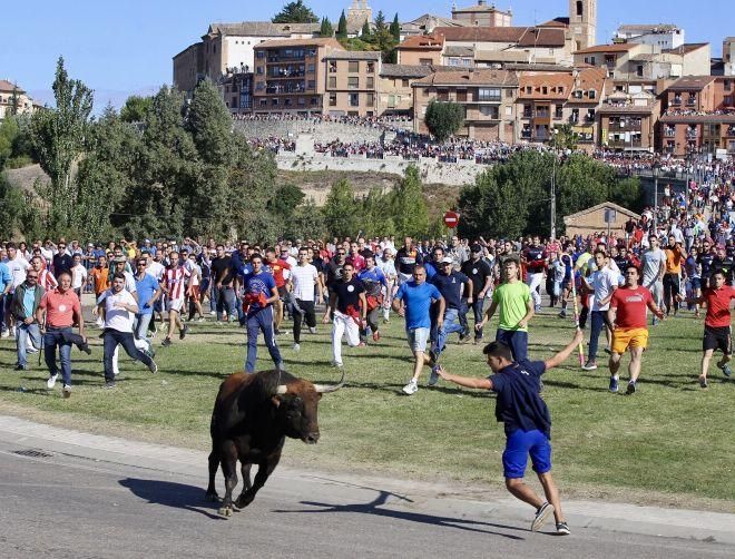 Celebración del Toro de la Vega en Tordesillas