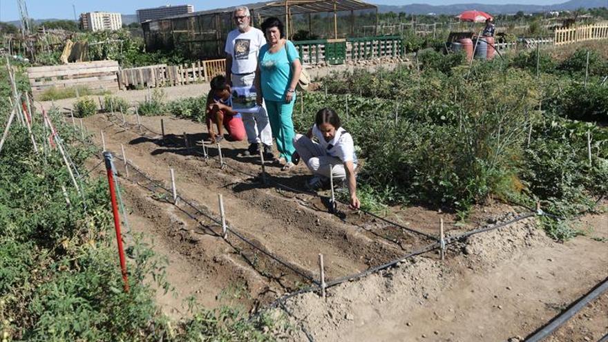 El Cordel de Écija cuenta ya con el sistema de regadío por goteo