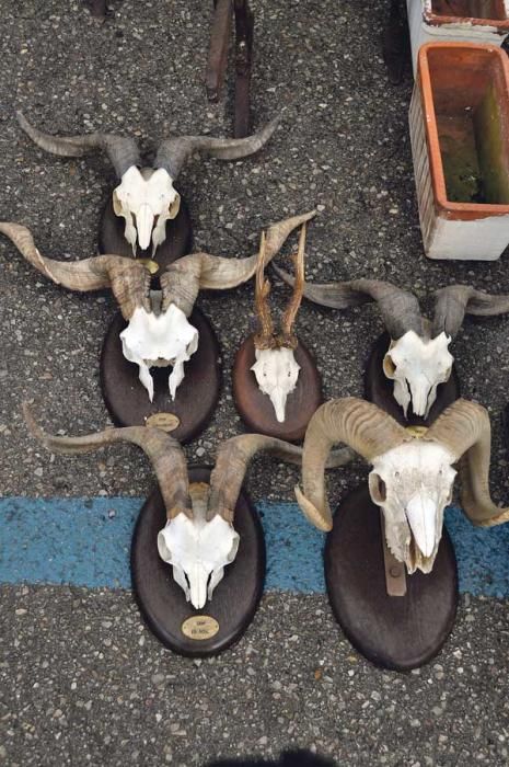 Willkommen auf dem Flohmarkt von Consell