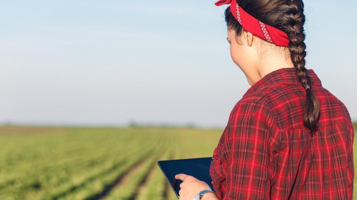 Las ayudas pretenden ayudar a los empresarios agrarios a modernizar la gestión de sus explotaciones.