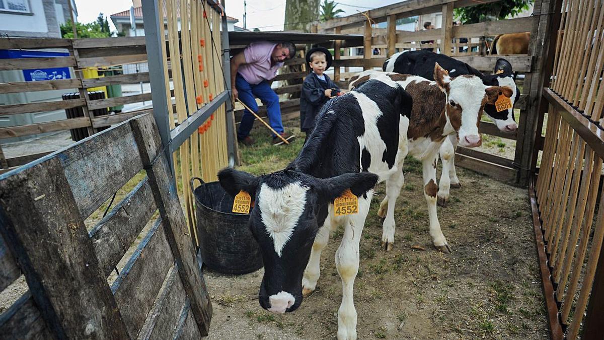 Recreación de una jornada de feria en Mosteiro (Meis).   | // IÑAKI ABELLA