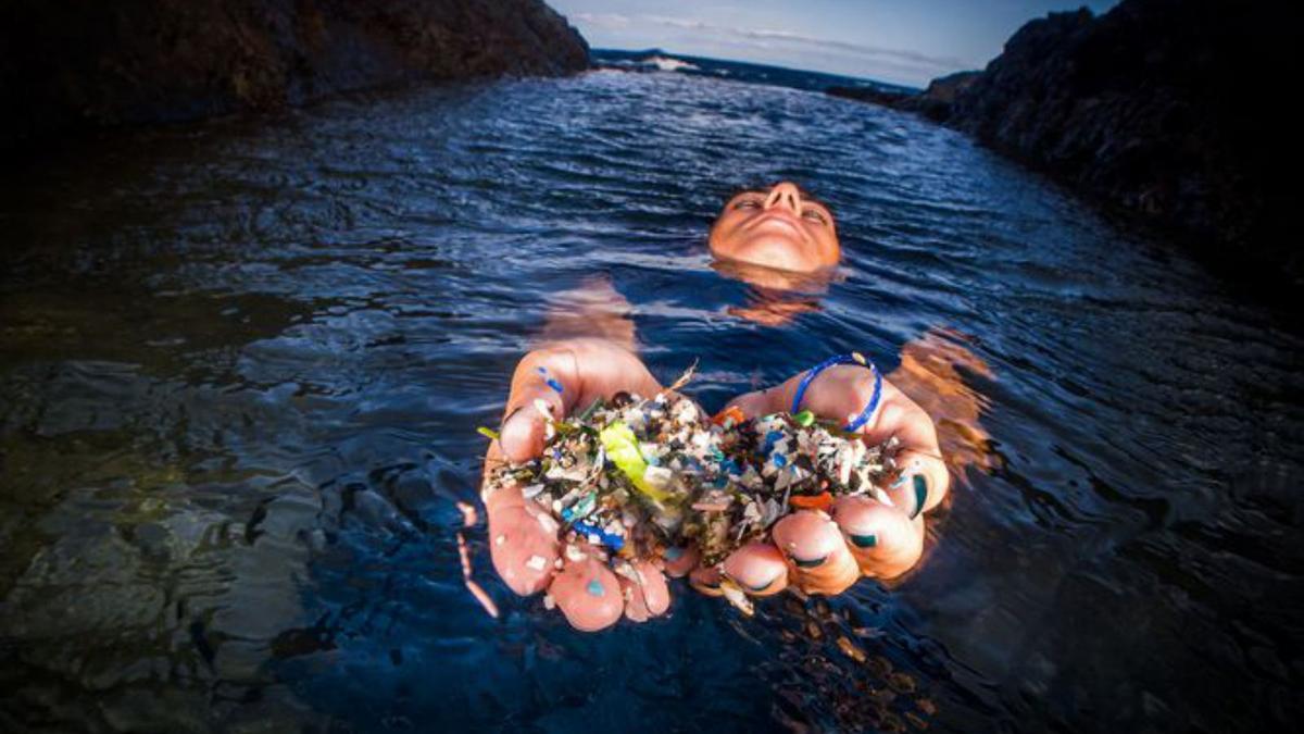 Plásticos, redes que atrapan tortugas y basura, la cara fea del fondo marino