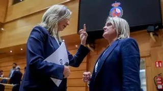 El Senado ratifica este lunes la ley que permite la excarcelación anticipada de varios presos de ETA
