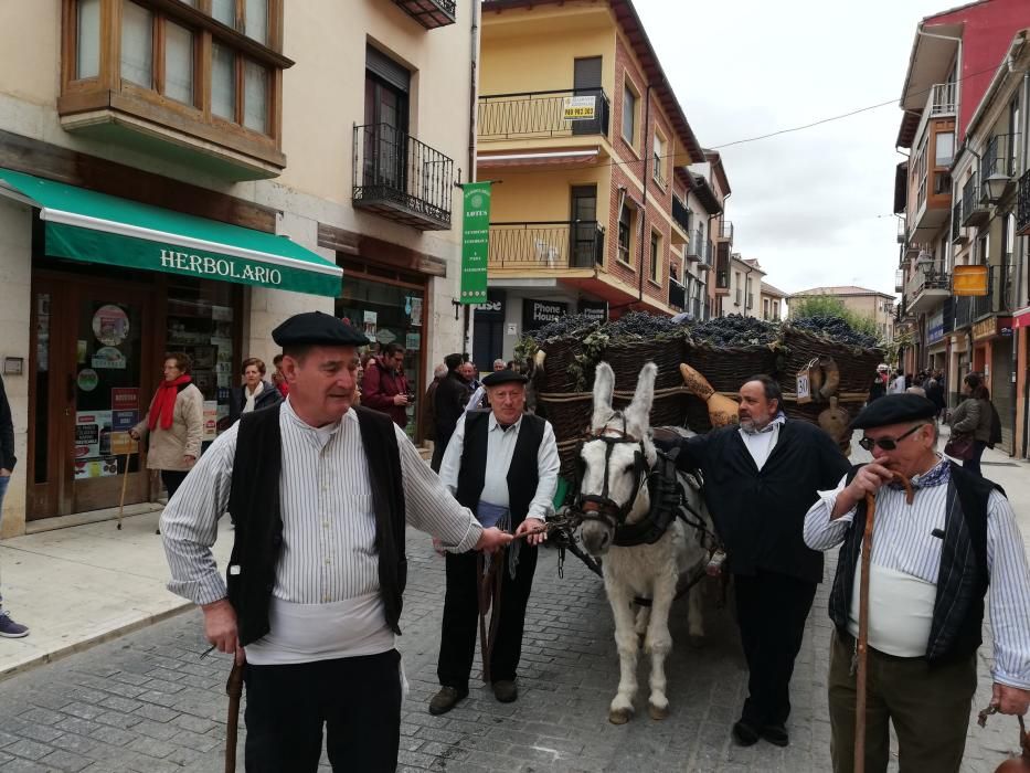 Desfile de carros de la Fiesta de la Vendimia