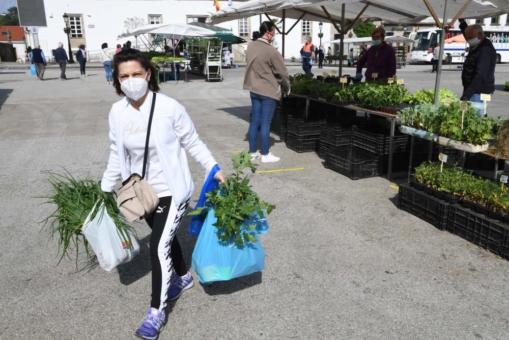 Una docena de vendedores de productos agroalimentarios de toda la comarca coruñesa acudieron a la plaza Irmáns García Naveira de Betanzos en el primer mercado semanal desde el inicio del confinamiento