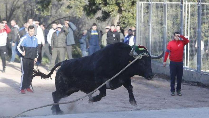 Onda refuerza la seguridad de los festejos taurinos de barrio