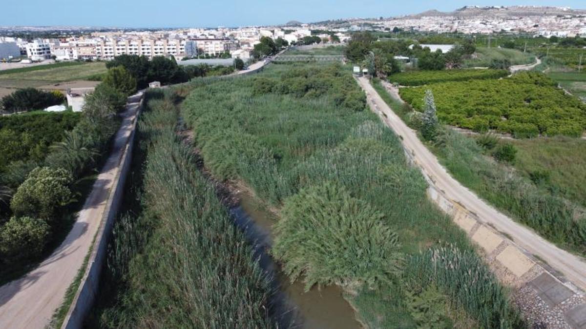 Aspecto que presenta el cauce del Segura a su paso por Formentera del Segura.  | JOSÉ  ANDÚJAR