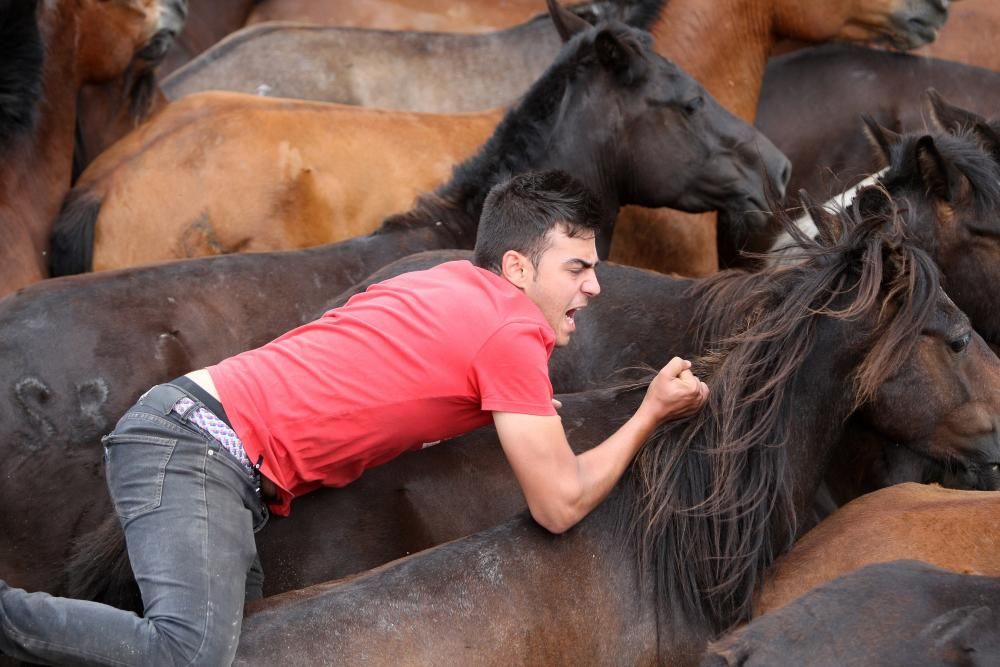 Última jornada de A Rapa das Bestas 2017